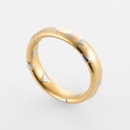 Niessing Ring Geoflächen